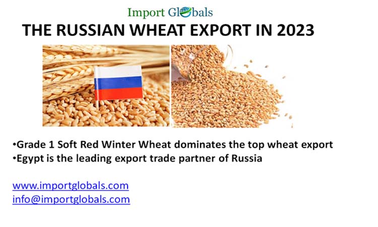 Overview of the Russian Wheat Export in 2023 Overview of the Russian Wheat Export in 2023