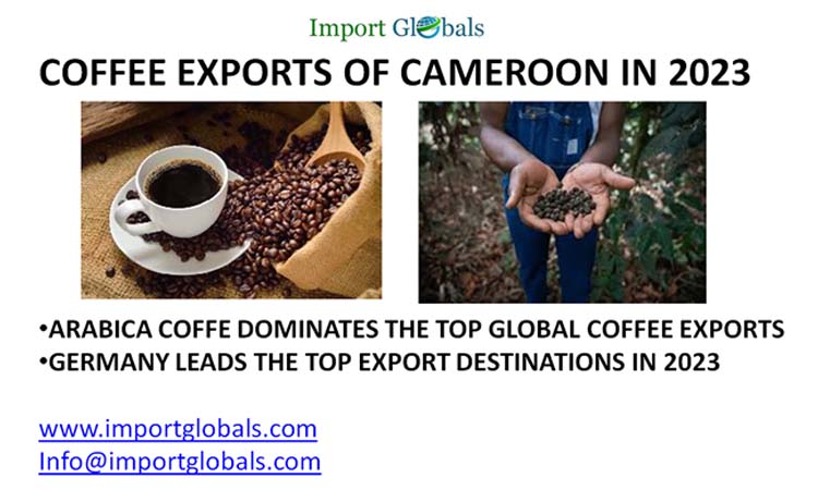 The Sudden Stride in the Coffee Exports of Cameroon in 2023 The Sudden Stride in the Coffee Exports of Cameroon in 2023
