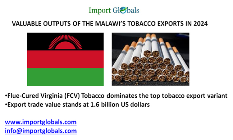 Valuable Outputs of the Malawi’s Tobacco Exports in 2024 Valuable Outputs of the Malawi’s Tobacco Exports in 2024