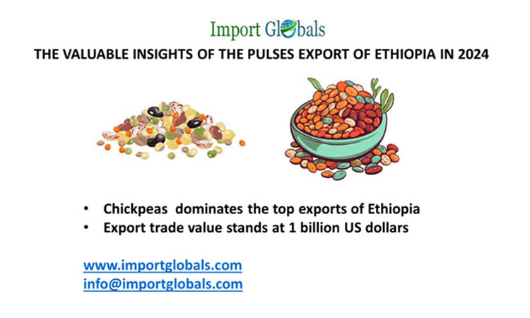 The Valuable Insights of the Pulses Export of Ethiopia in 2024 The Valuable Insights of the Pulses Export of Ethiopia in 2024