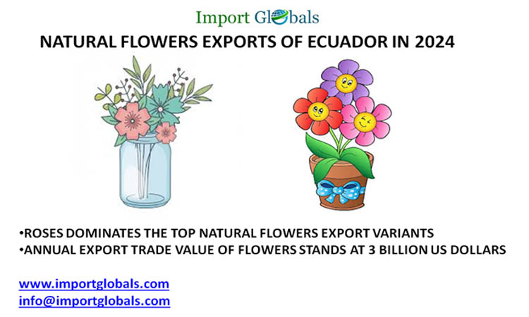Natural Flowers Exports of Ecuador: Key Insights of the Valuable Marketing Partners Natural Flowers Exports of Ecuador: Key Insights of the Valuable Marketing Partners