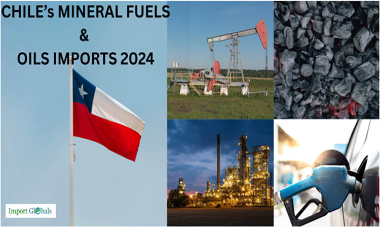 Chile's Leading Import: A Deep Dive into Mineral Fuels and Oils in 2024 Chile's Leading Import: A Deep Dive into Mineral Fuels and Oils in 2024