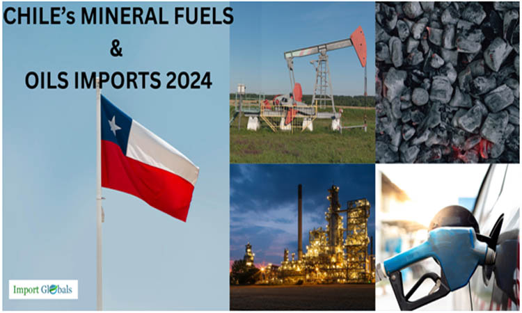 Chile's Leading Import: A Deep Dive into Mineral Fuels and Oils in 2024 Chile's Leading Import: A Deep Dive into Mineral Fuels and Oils in 2024