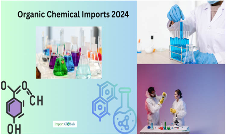 Organic Chemical Imports 2024: A Data-Driven Perspective Organic Chemical Imports 2024: A Data-Driven Perspective