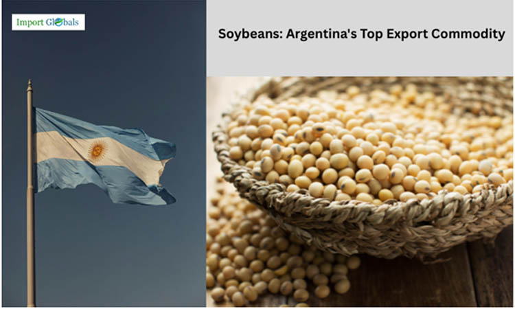 Comprehensive Study About Soybeans, Argentina's Top Export Commodity Comprehensive Study About Soybeans, Argentina's Top Export Commodity