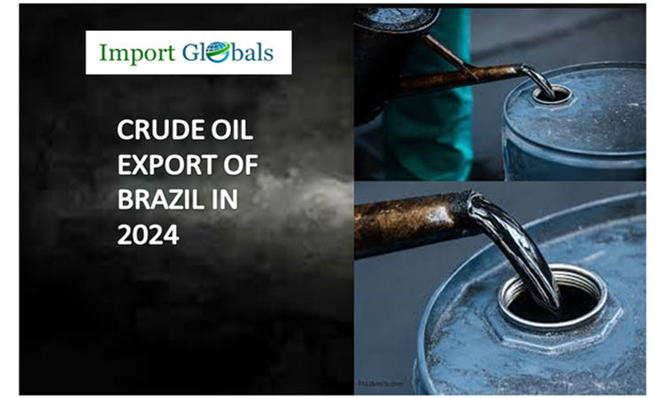 Crude Oil Takes the Lead in Brazil: A Comprehensive Analysis of the Regulatory Shipments in Exports of 2024 Crude Oil Takes the Lead in Brazil: A Comprehensive Analysis of the Regulatory Shipments in Exports of 2024