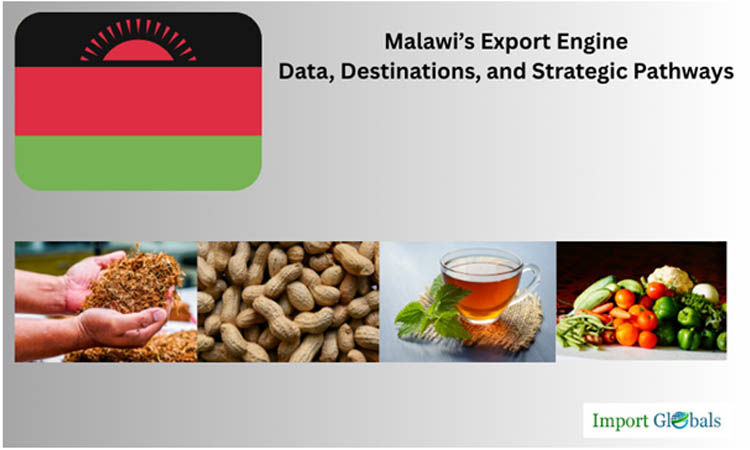 Malawi’s Export Engine: Data, Destinations, and Strategic Pathways Malawi’s Export Engine: Data, Destinations, and Strategic Pathways