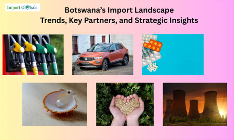 Botswana’s Import Landscape: Trends, Key Partners, and Strategic Insights Botswana’s Import Landscape: Trends, Key Partners, and Strategic Insights