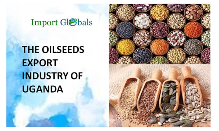 The Oilseeds Export Industry of Uganda: (2024 Trade Sheet) The Oilseeds Export Industry of Uganda: (2024 Trade Sheet)