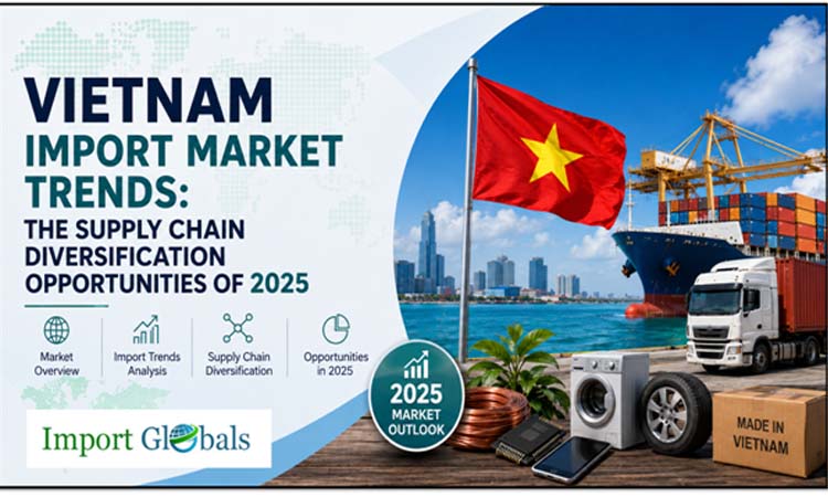 Vietnam Import Market Trends: The Supply Chain Diversification Opportunities of 2025